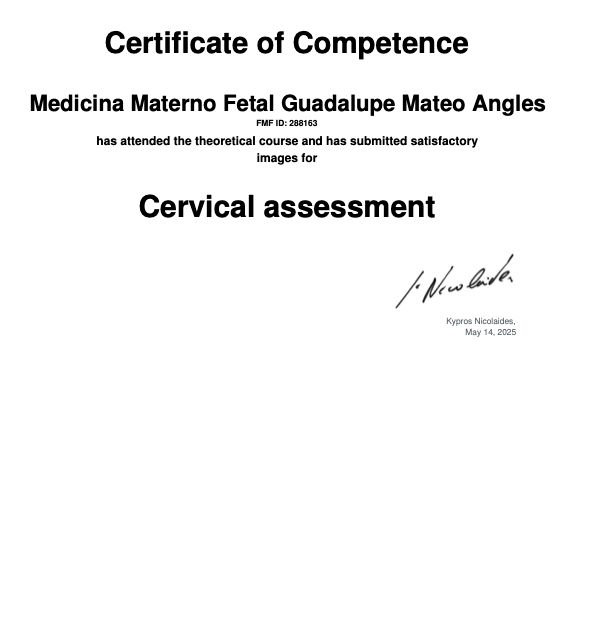 Ampliar imagen: certificate 5