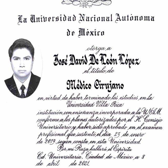 Ampliar imagen: certificate 4