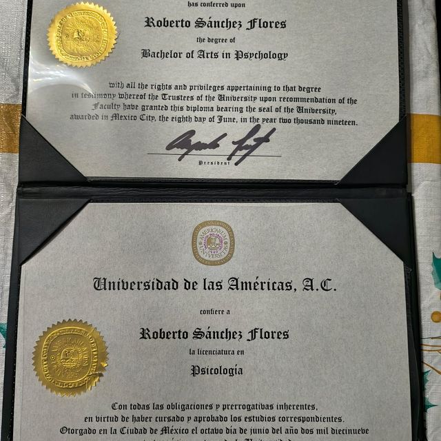 Ampliar imagen: certificate 5