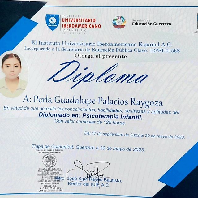 Ampliar imagen: certificate 1