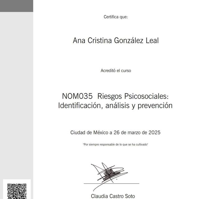 Ampliar imagen: certificate 5