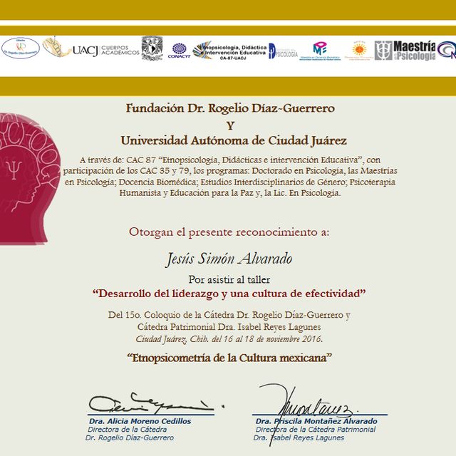 Ampliar imagen: certificate 2