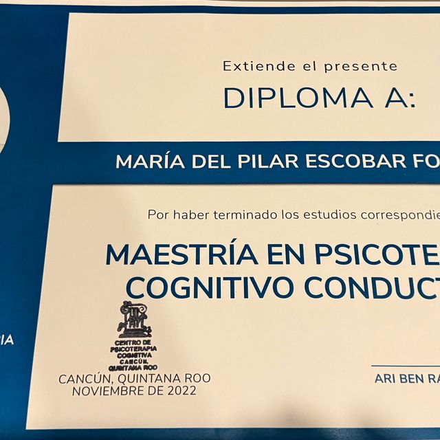 Ampliar imagen: certificate 2