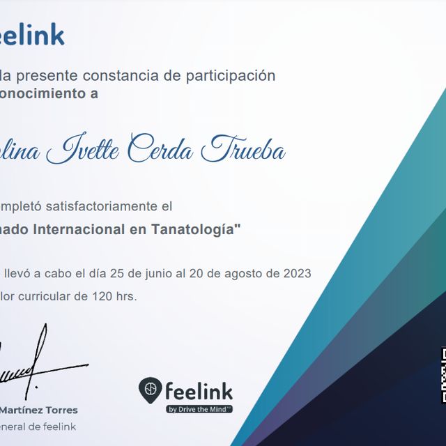 Ampliar imagen: certificate 6