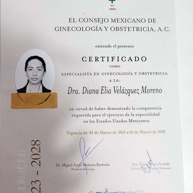 Ampliar imagen: certificate 3