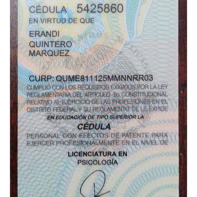 Ampliar imagen: certificate 6