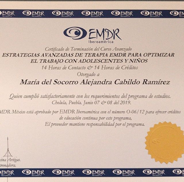 Ampliar imagen: certificate 2