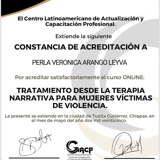 Ampliar imagen: certificate 1