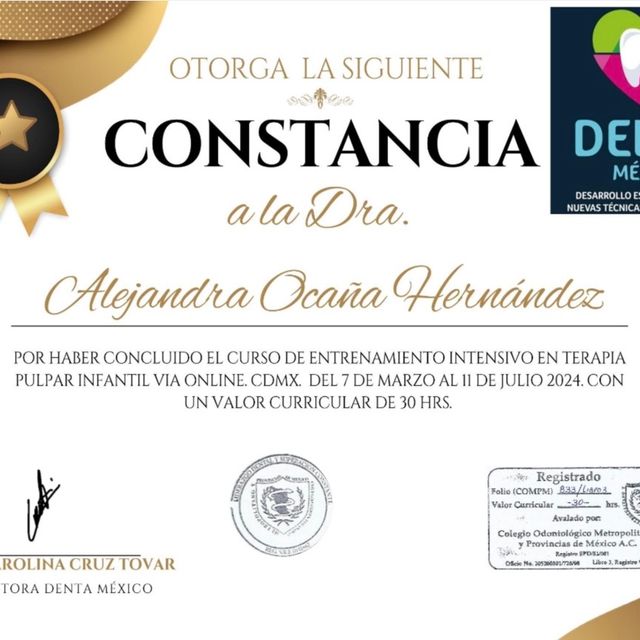 Ampliar imagen: certificate 3