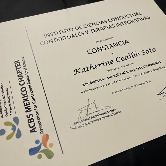 Ampliar imagen: certificate 7