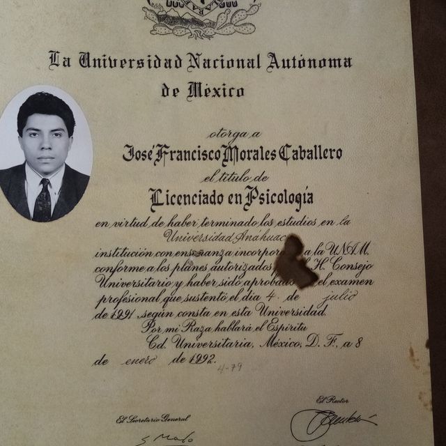 Ampliar imagen: certificate 11