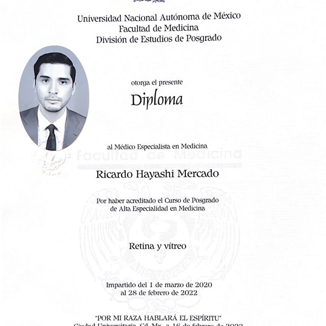 Ampliar imagen: certificate 6