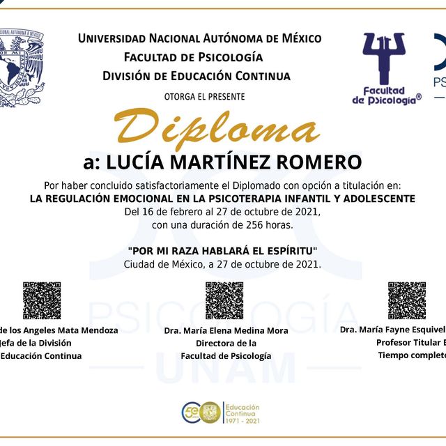 Ampliar imagen: certificate 2