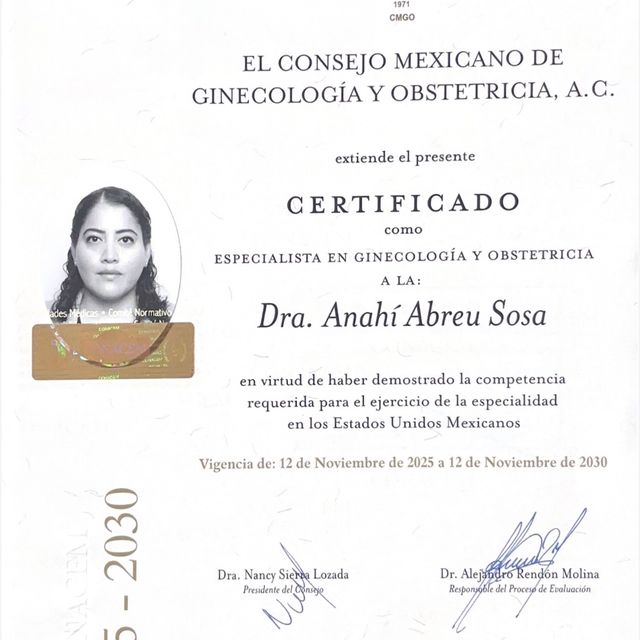 Ampliar imagen: certificate 10