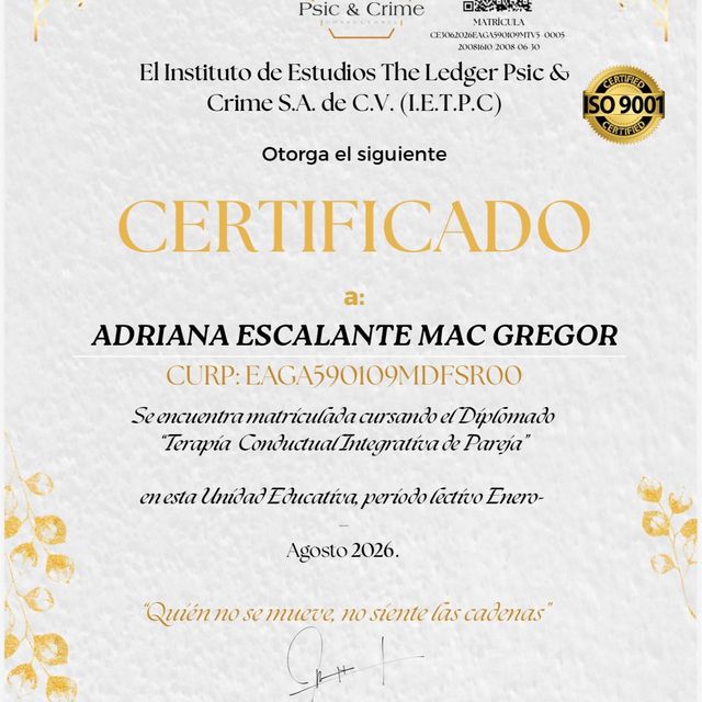 Ampliar imagen: certificate 1