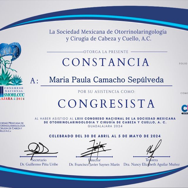 Ampliar imagen: certificate 13