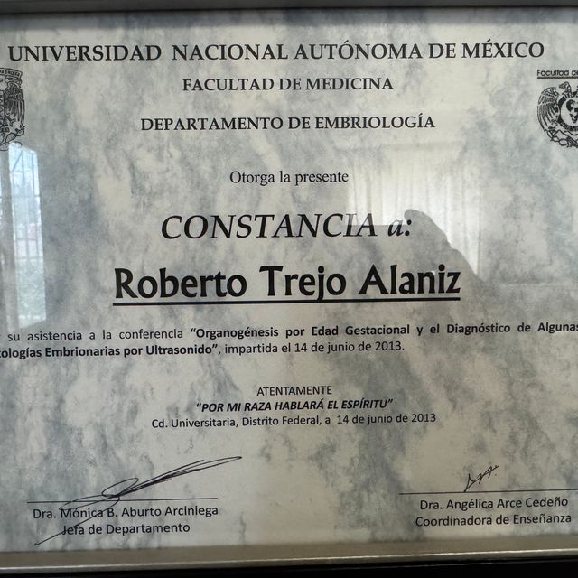 Ampliar imagen: certificate 8