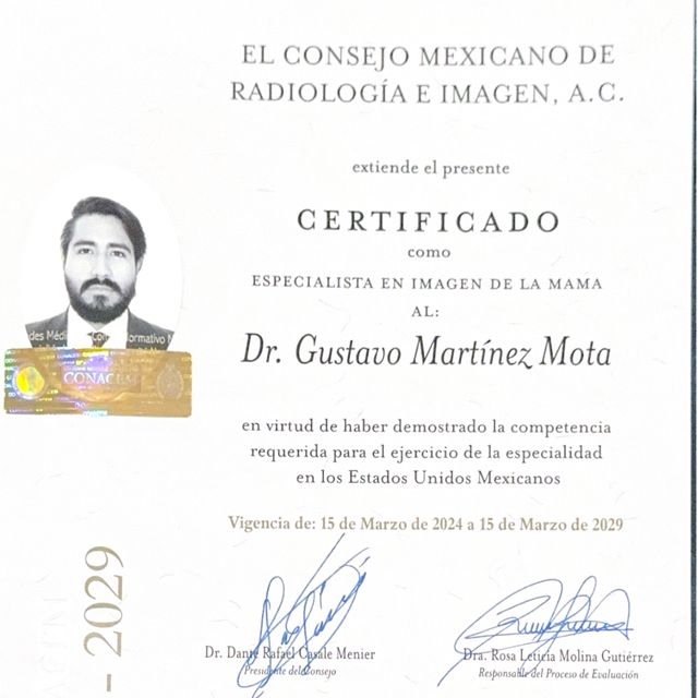 Ampliar imagen: certificate 5
