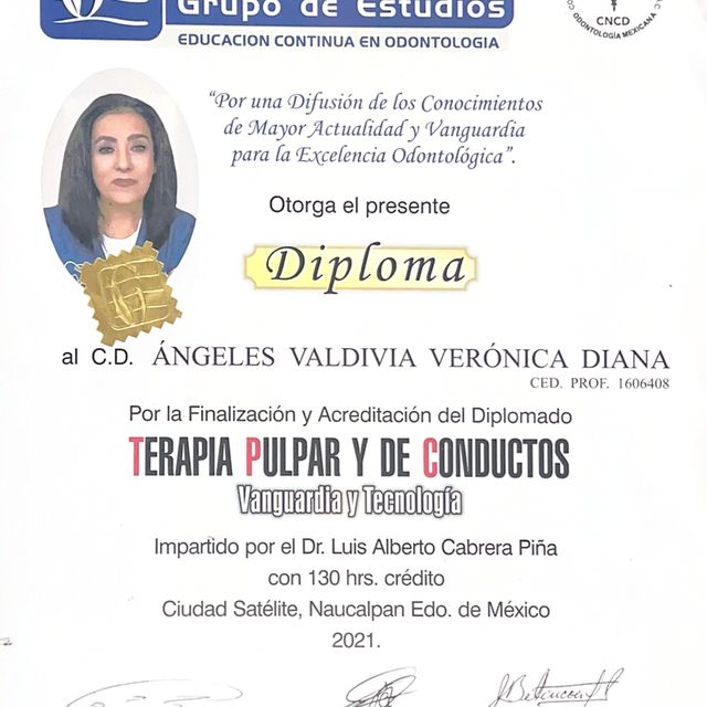 Ampliar imagen: certificate 3
