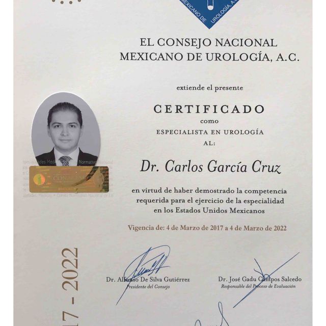 Ampliar imagen: certificate 7