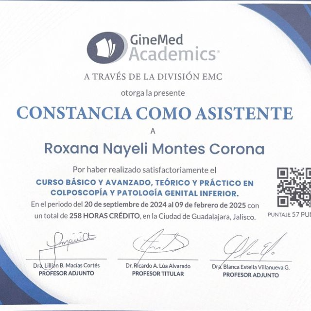 Ampliar imagen: certificate 3