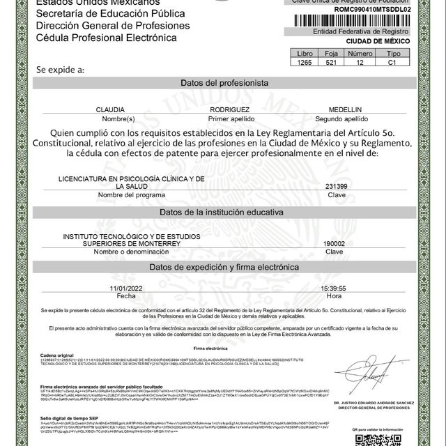 Ampliar imagen: certificate 1