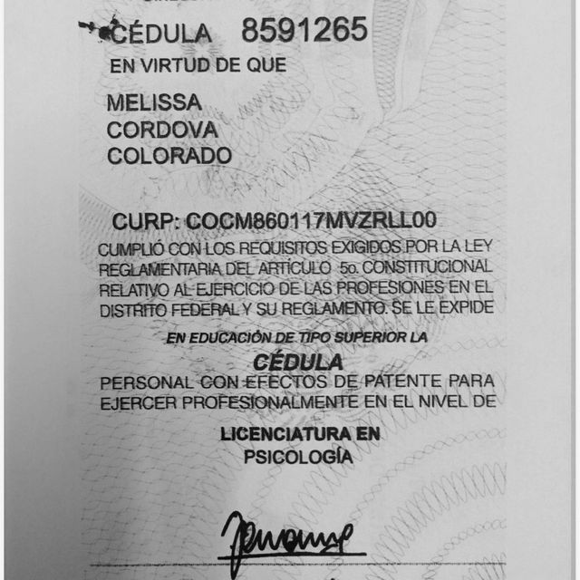 Ampliar imagen: certificate 1