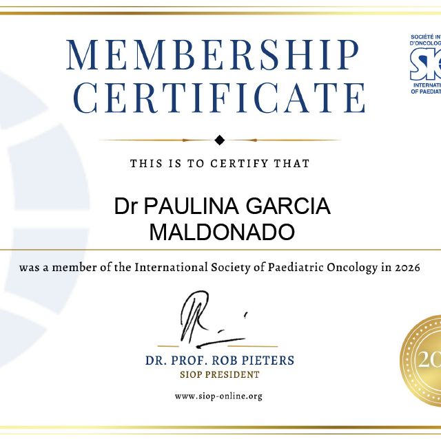 Ampliar imagen: certificate 5