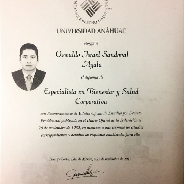 Ampliar imagen: certificate 9