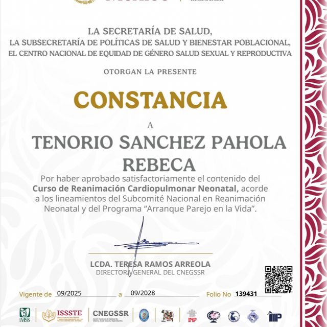 Ampliar imagen: certificate 4