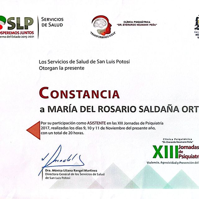 Ampliar imagen: certificate 17