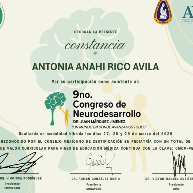 Ampliar imagen: certificate 3