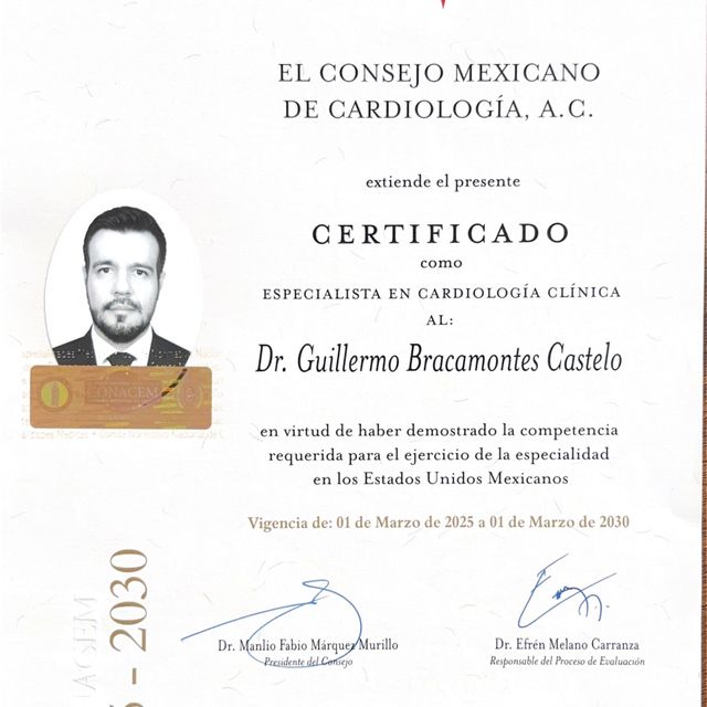 Ampliar imagen: certificate 1