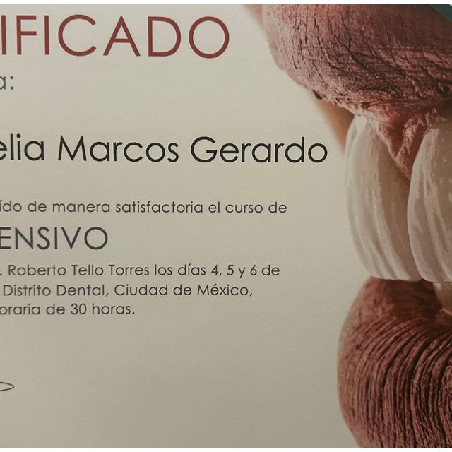 Ampliar imagen: certificate 1