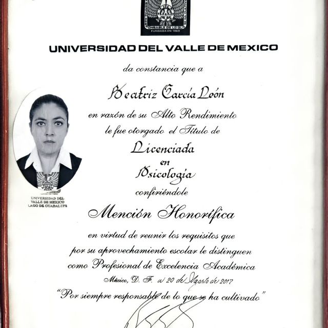 Ampliar imagen: certificate 7