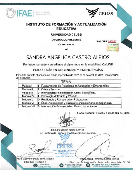 Ampliar imagen: certificate 10