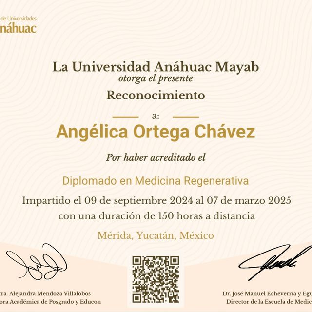 Ampliar imagen: certificate 6