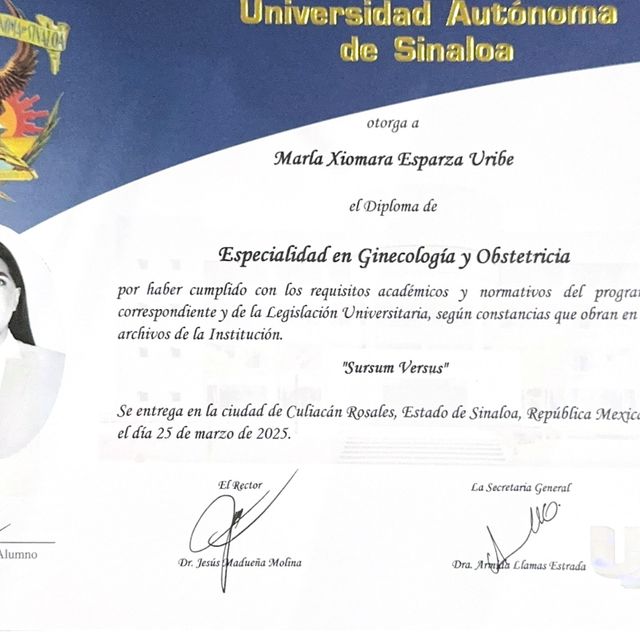 Ampliar imagen: certificate 2