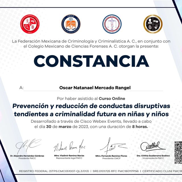 Ampliar imagen: certificate 11