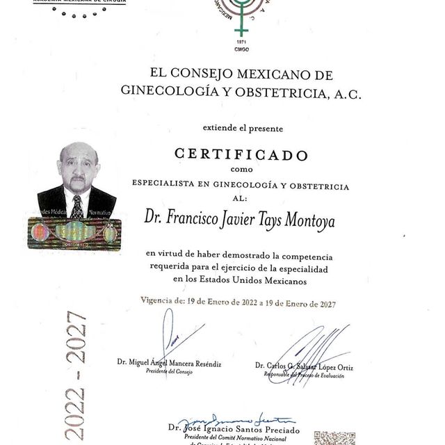 Ampliar imagen: certificate 3
