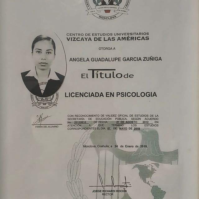 Ampliar imagen: certificate 3
