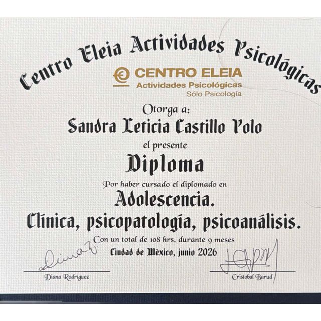 Ampliar imagen: certificate 5