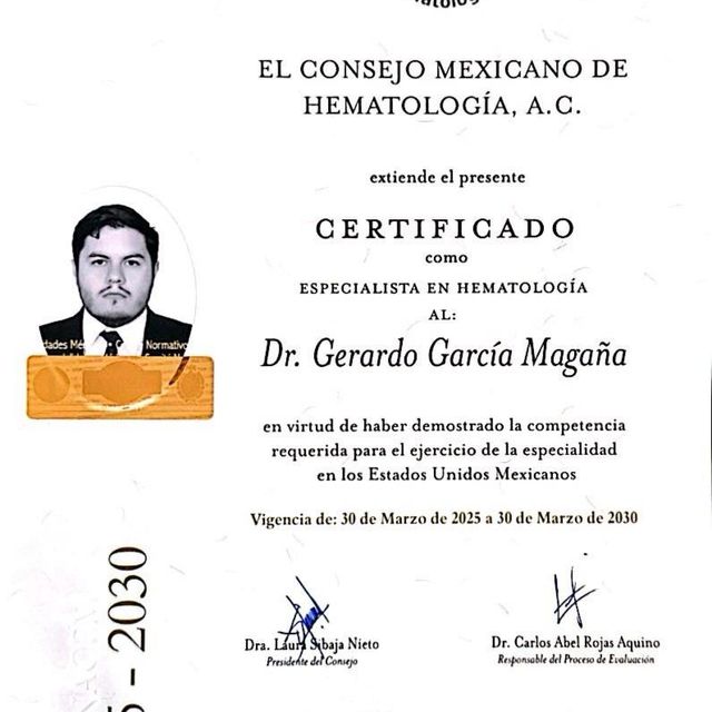 Ampliar imagen: certificate 1