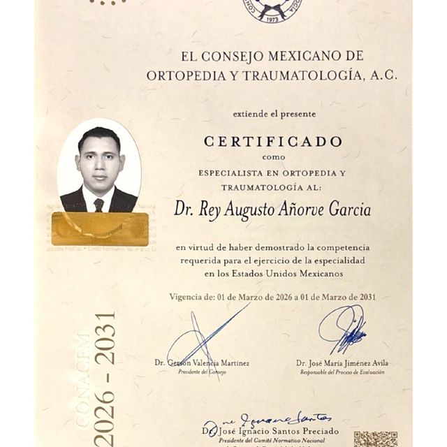 Ampliar imagen: certificate 1