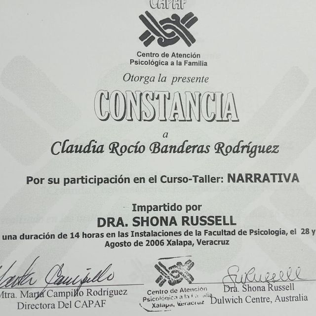 Ampliar imagen: certificate 1