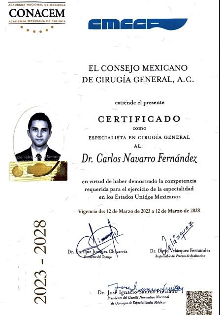 Ampliar imagen: certificate 2
