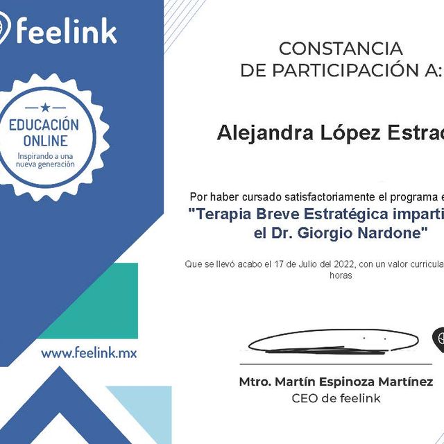 Ampliar imagen: certificate 17