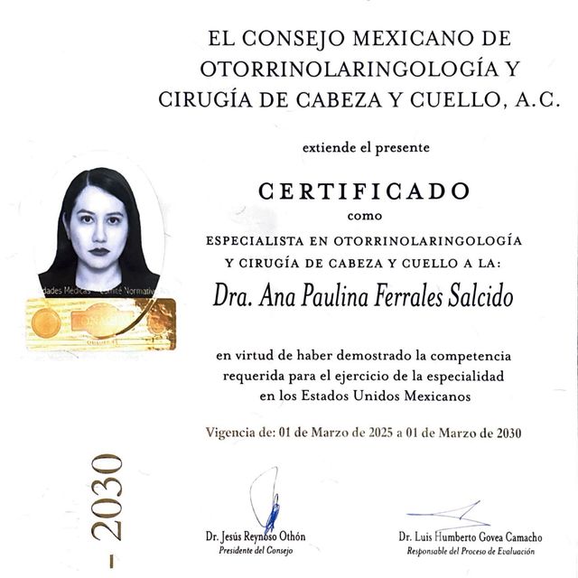 Ampliar imagen: certificate 3