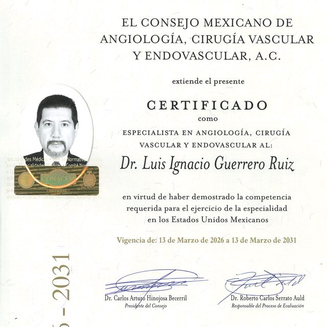 Ampliar imagen: certificate 1