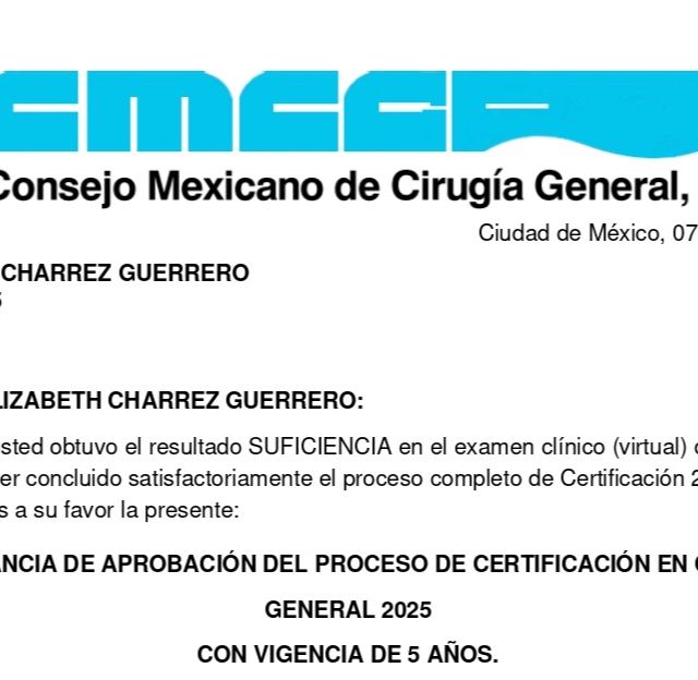Ampliar imagen: certificate 4